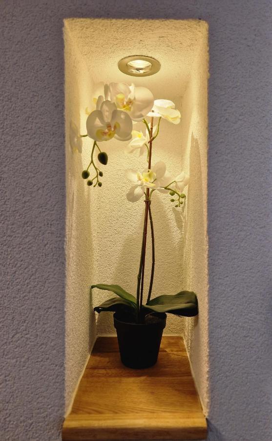 Fewo'S Und Apartment'S Schoeneck ダヴォス・プラッツ エクステリア 写真